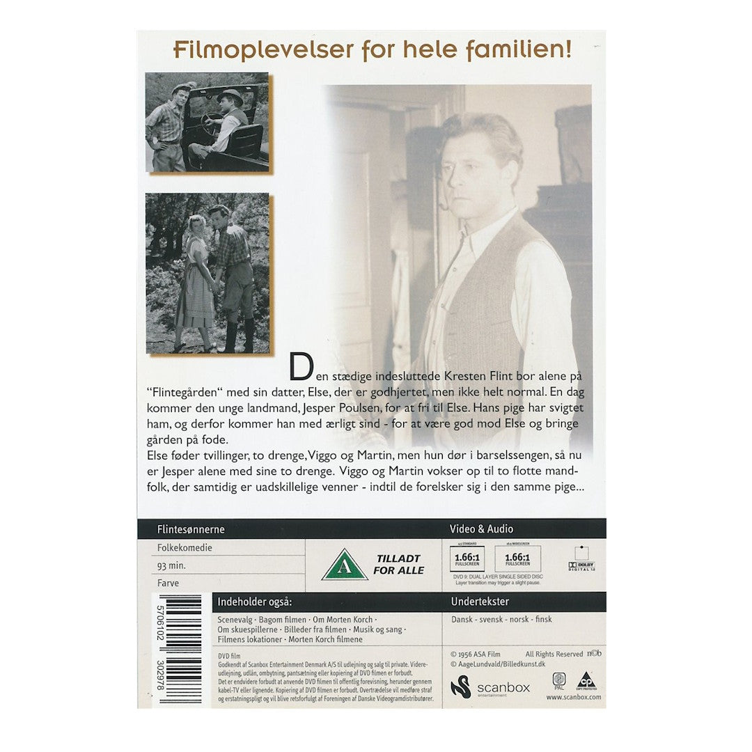 Flintesønnerne