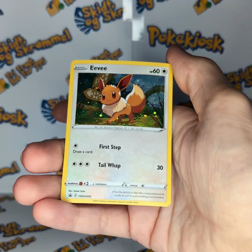 Eevee SWSH095
